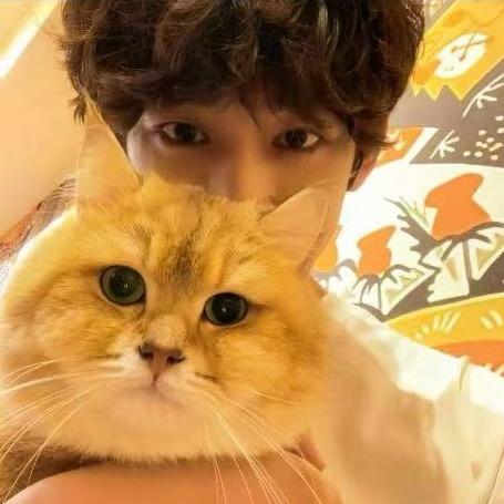 绵阳顶格宠物馆（直播号）