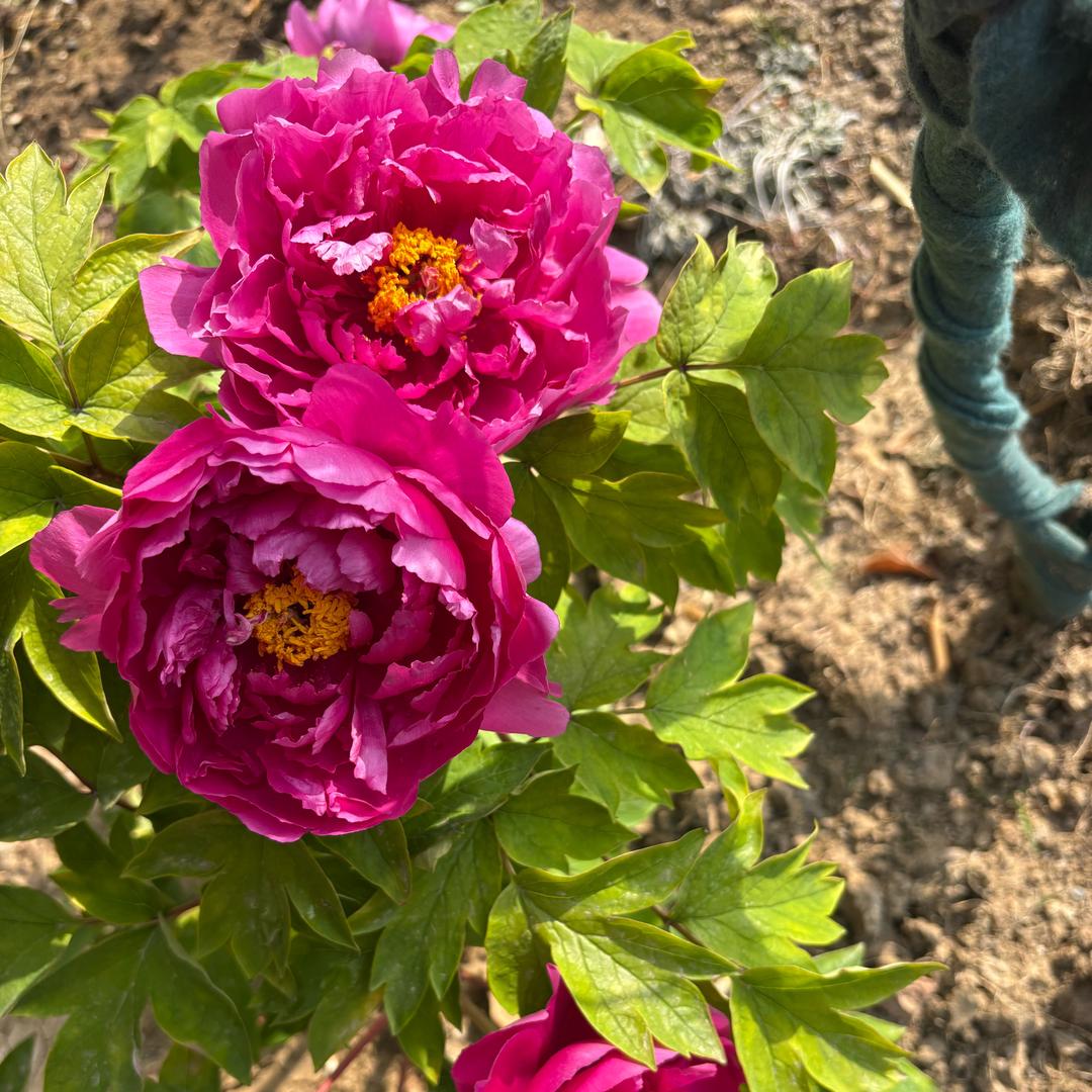 和你不熟。 少聊天。