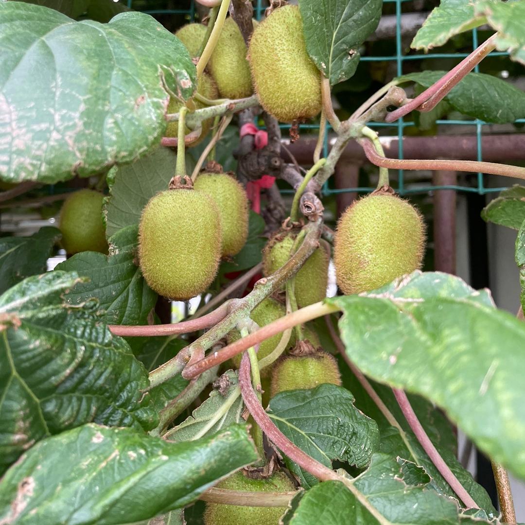 逆天