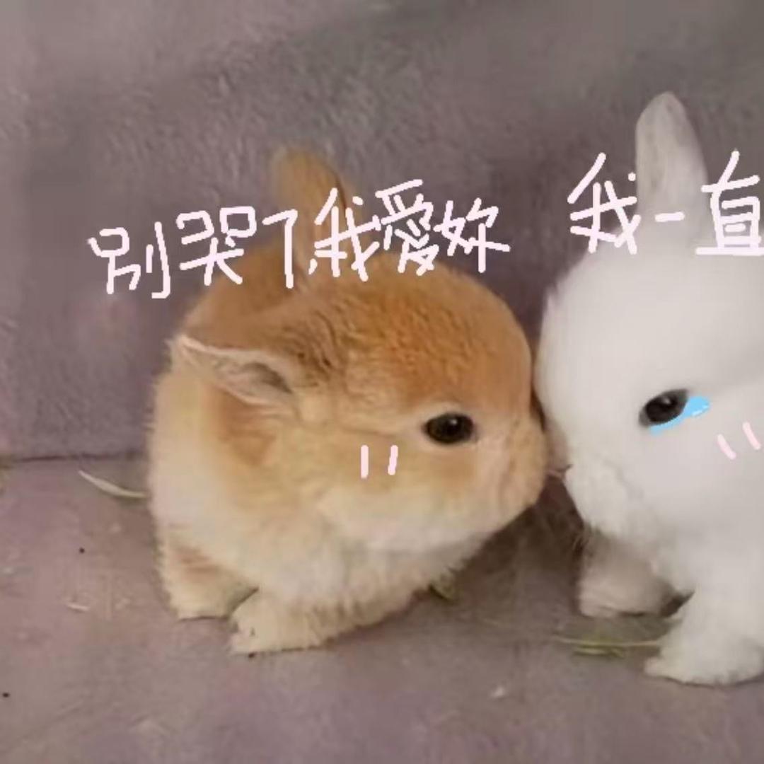 我女朋友萌到我吐血