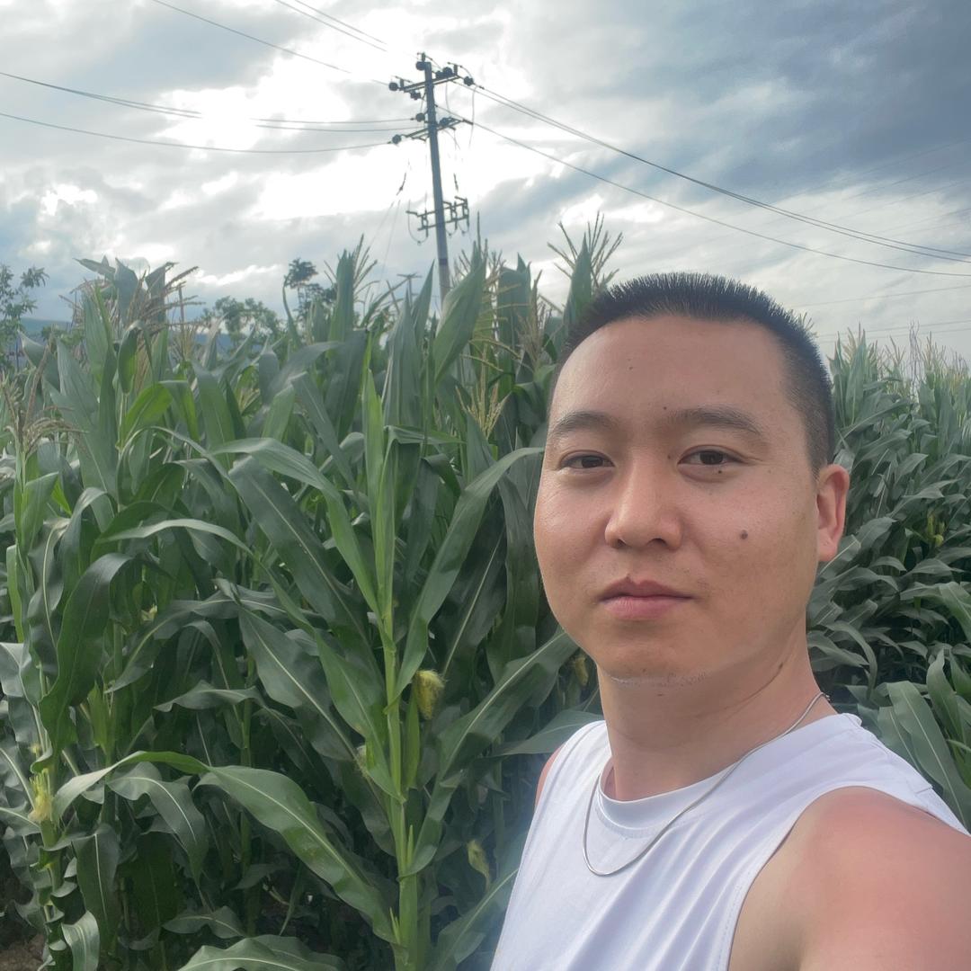 三个男人的农村生活