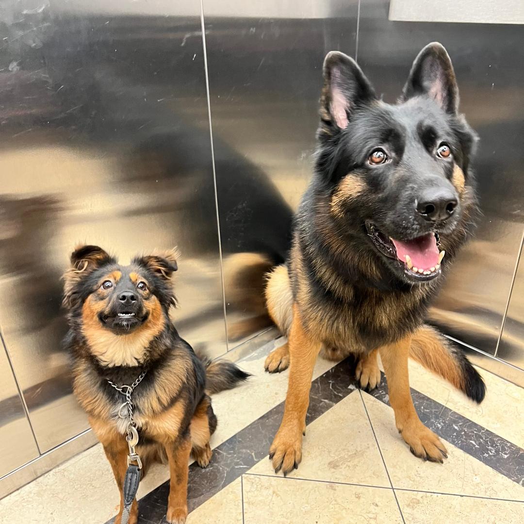 不吃跳跳糖的雪饼