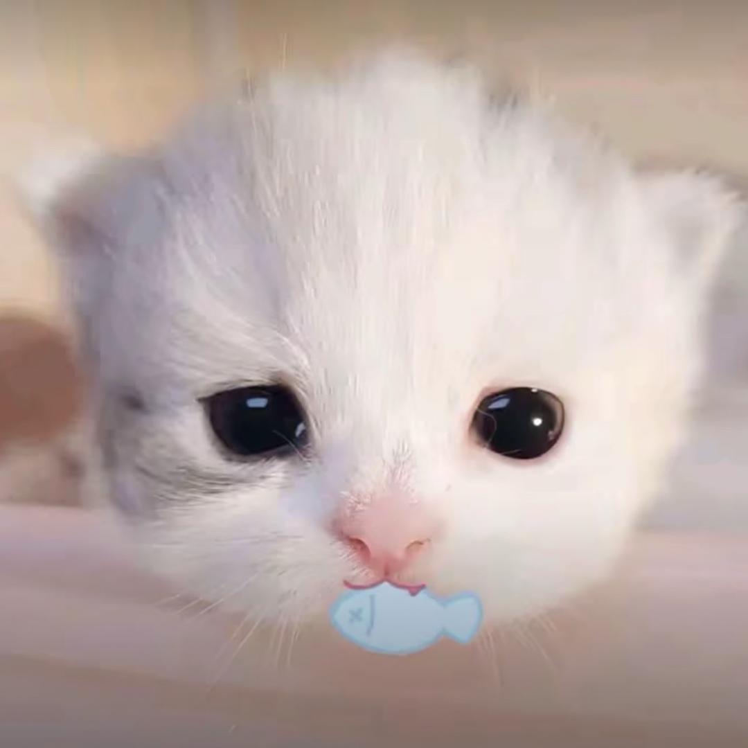 炸鱼