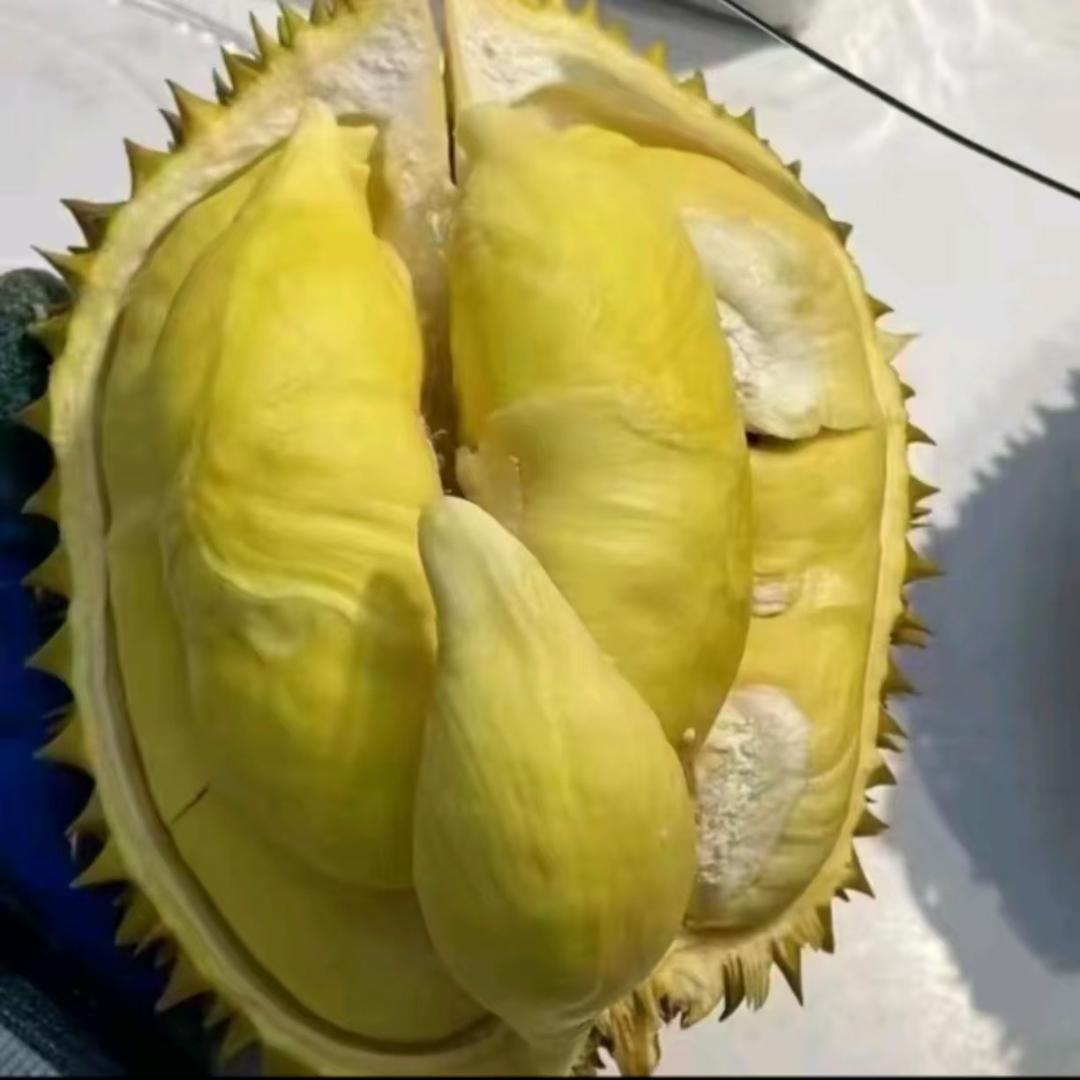 徐鲜生榴莲批发超市