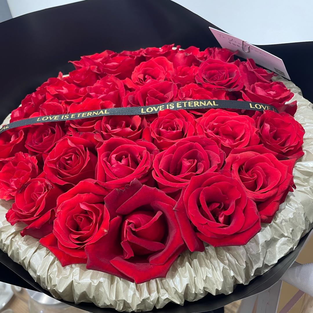 别碰我，我是刺猬 🦔