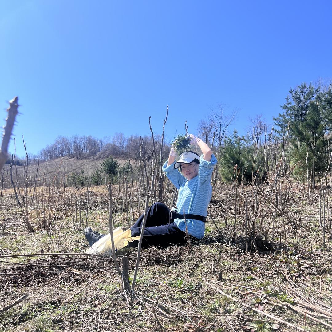 秦家柴火煎饼山农特产坊