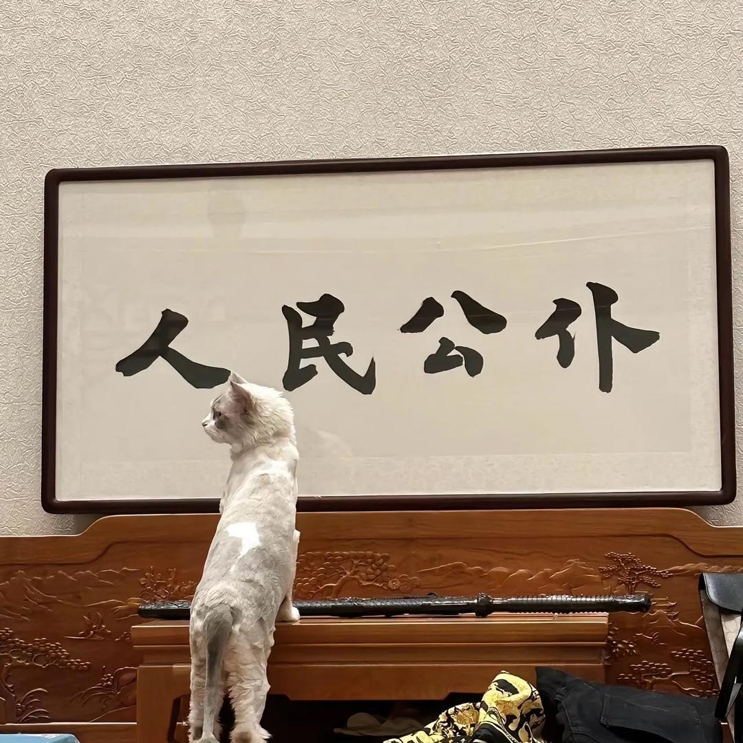 逾期