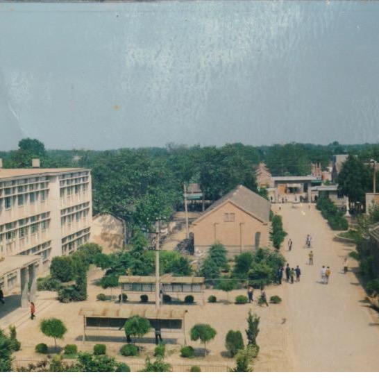 你努力我努力大家一起努力