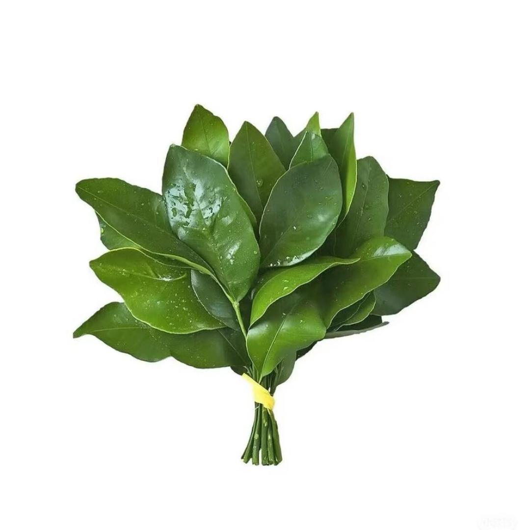 如果敏感是天赋