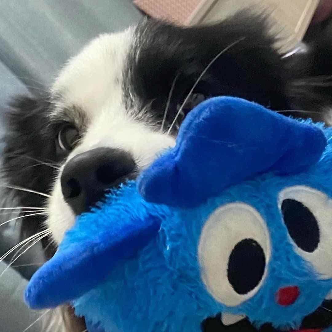 姜忆笙