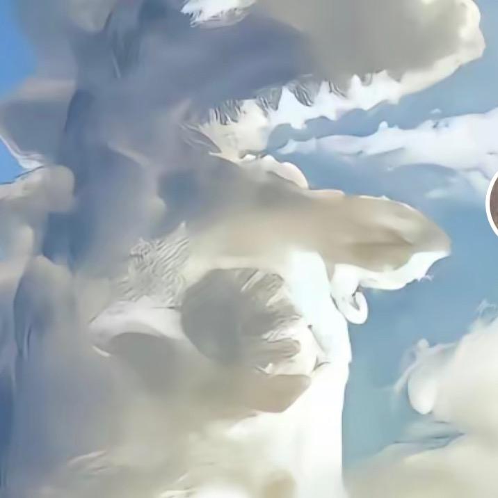 奥莱运动折扣鼎和店