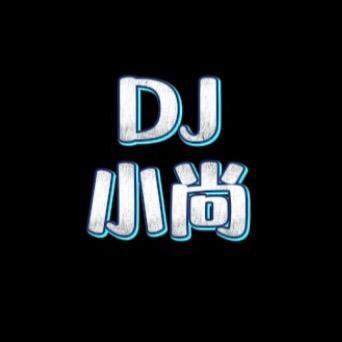Dj小尚经典舞曲（优盘）