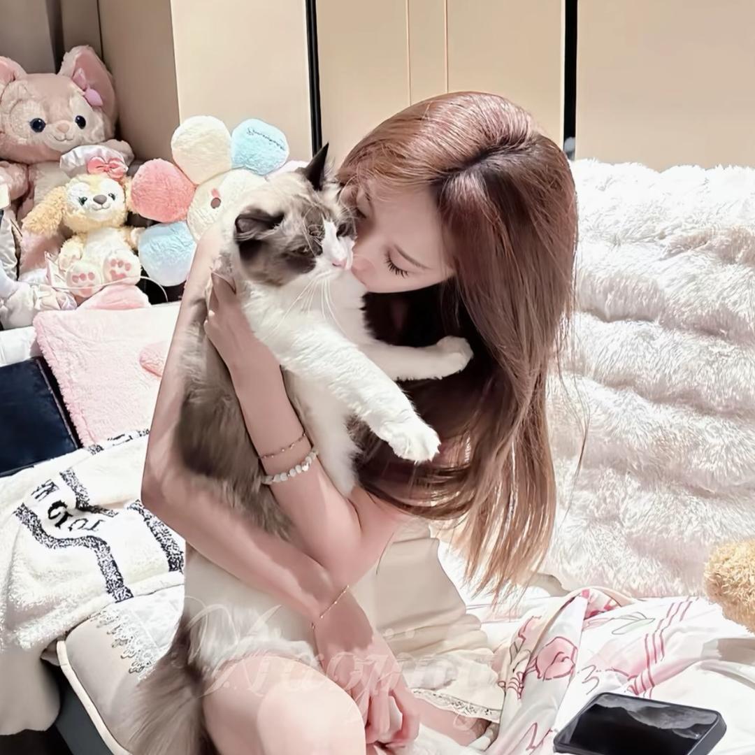 莼莼