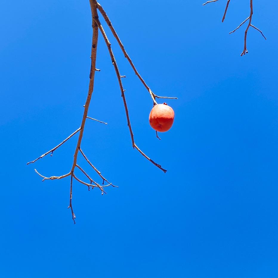 达·芬奇