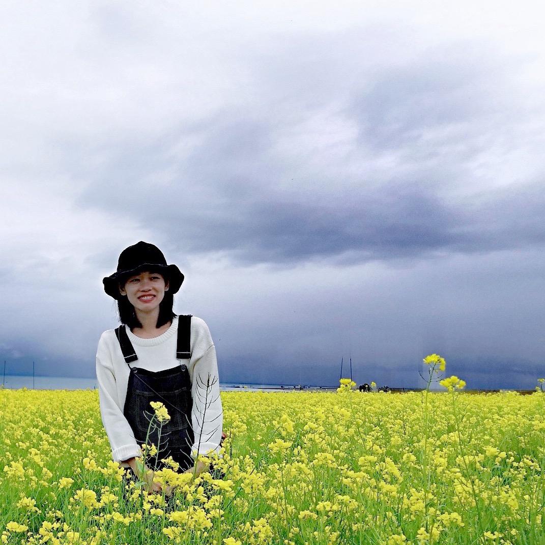 野生小花园