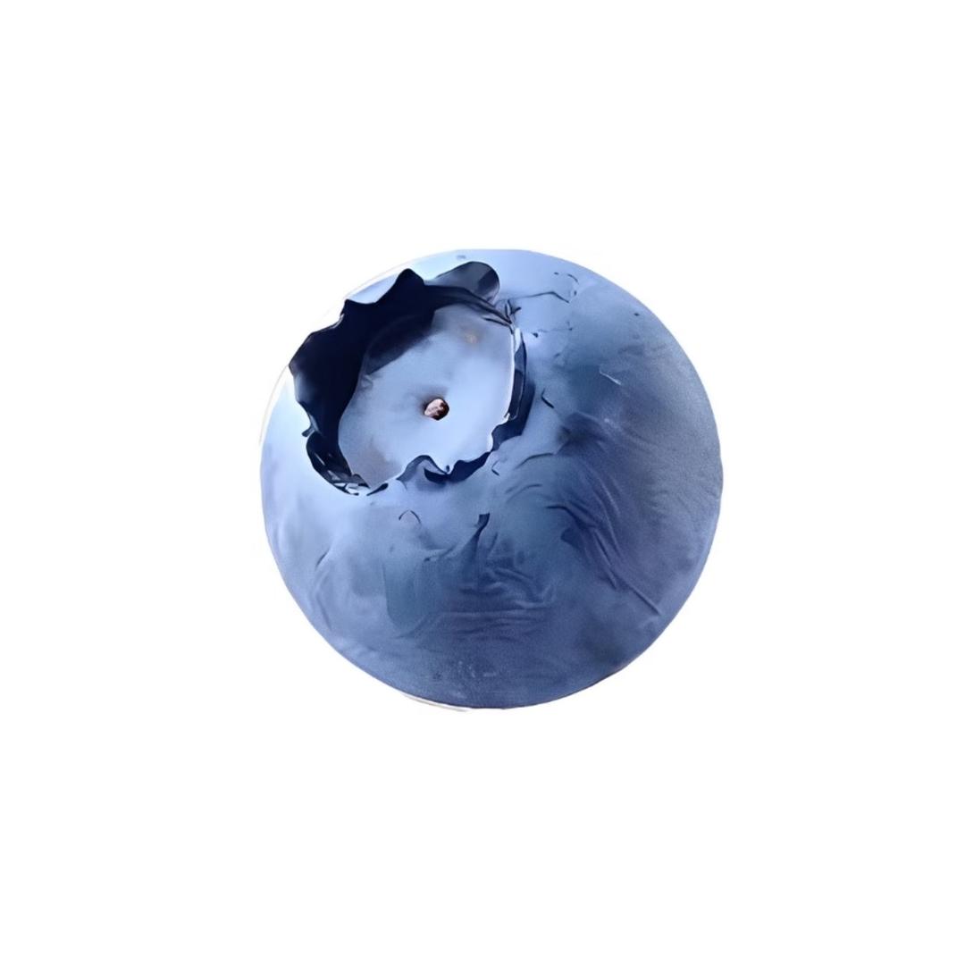 冉姌