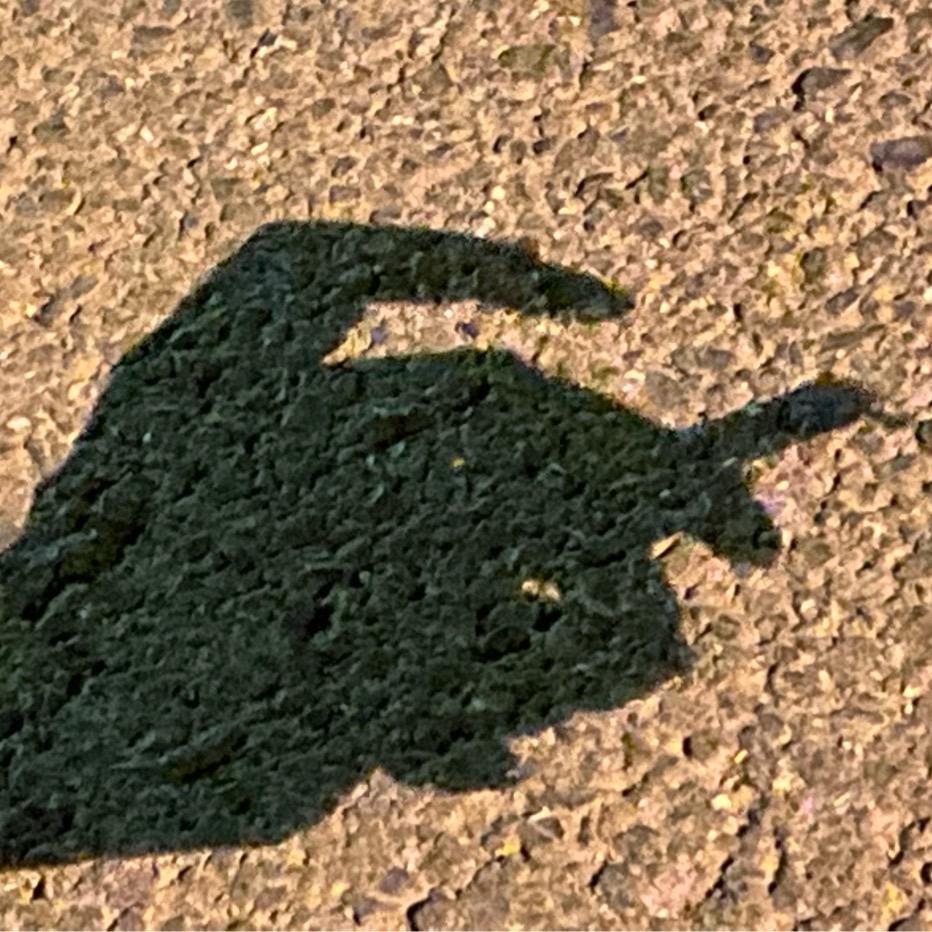 👥