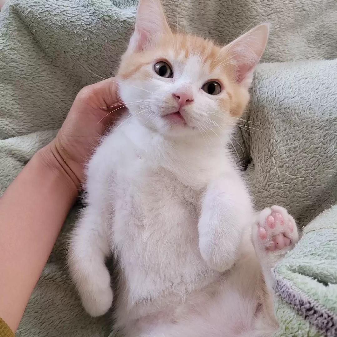 宏欧联合企业店X