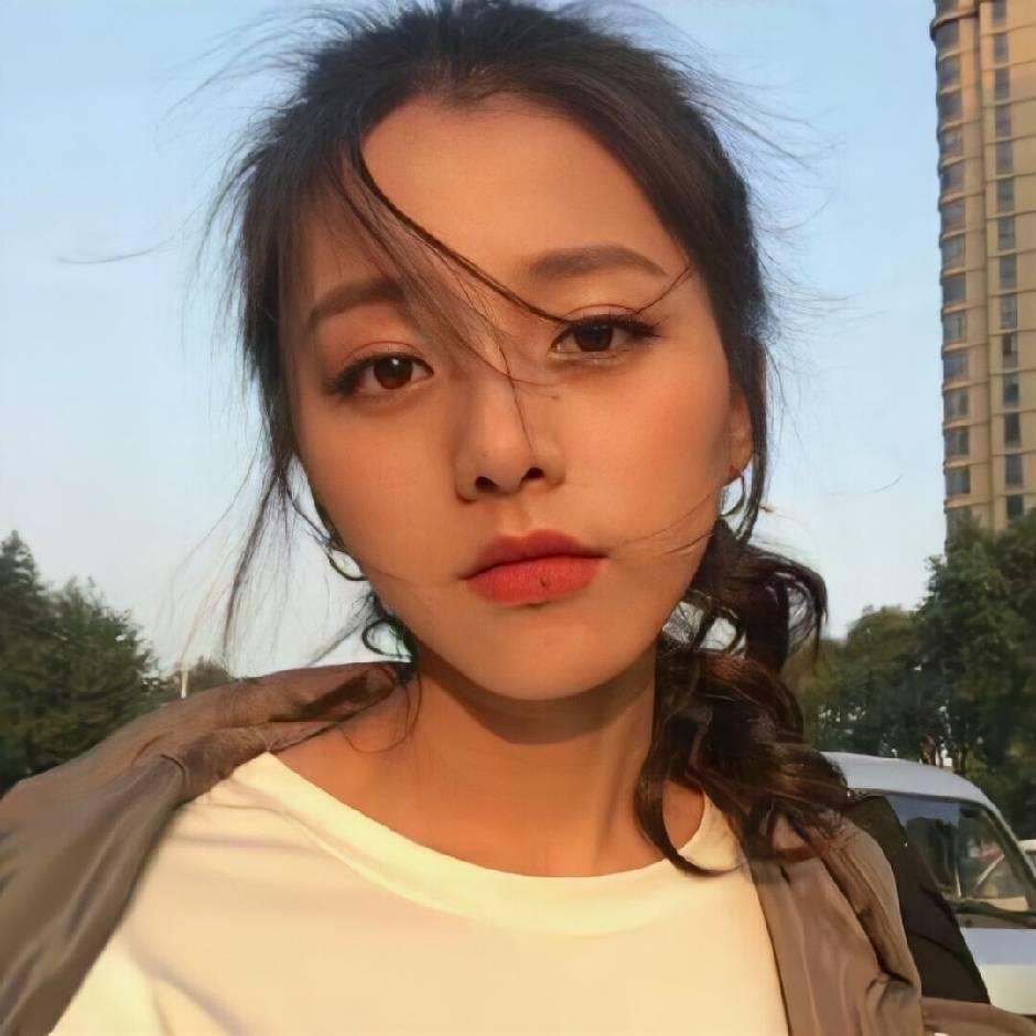 A.Li