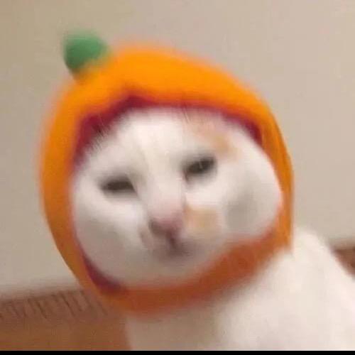 大🍊为重