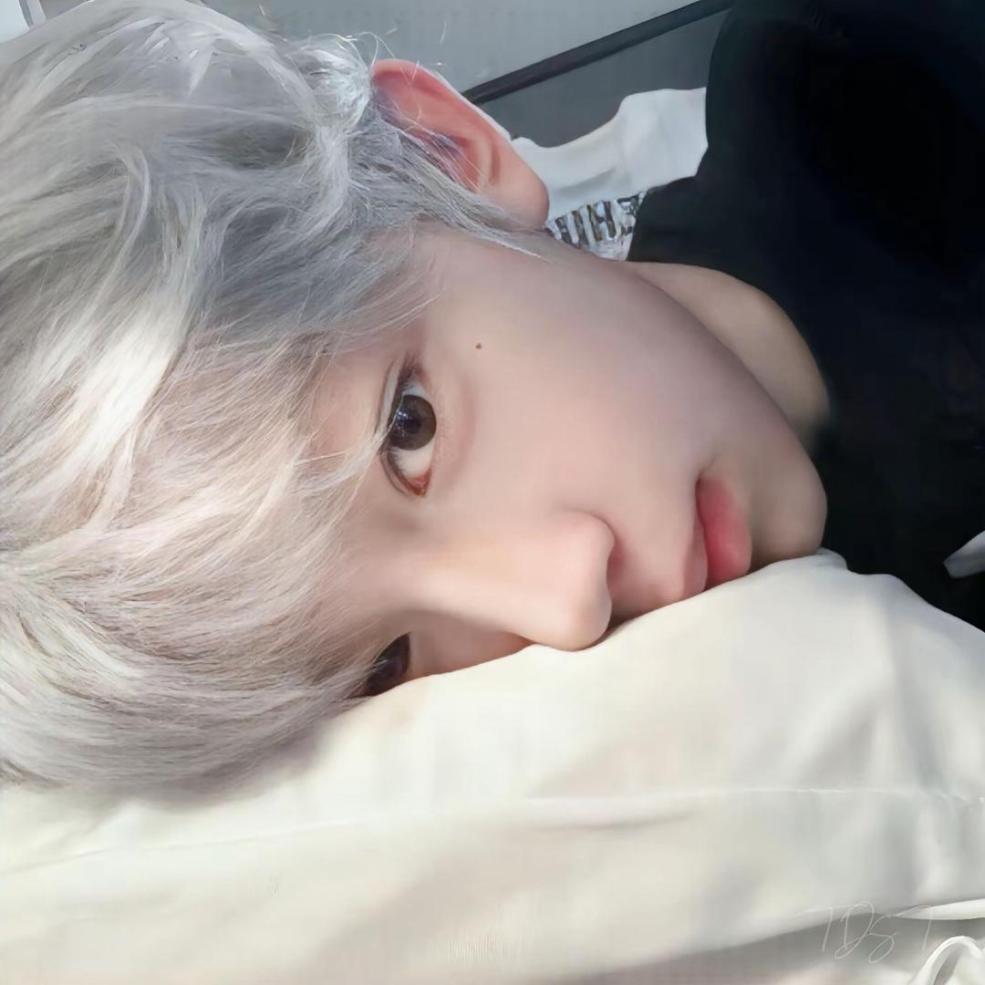 鯊鱼💭