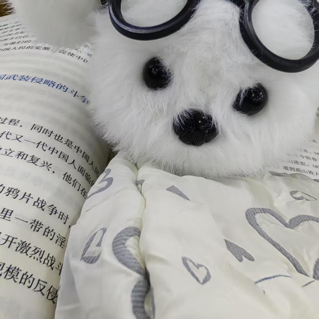 猛男斗魂（专业）