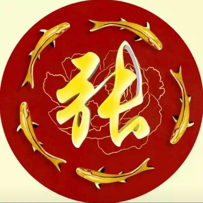 老张新媒体