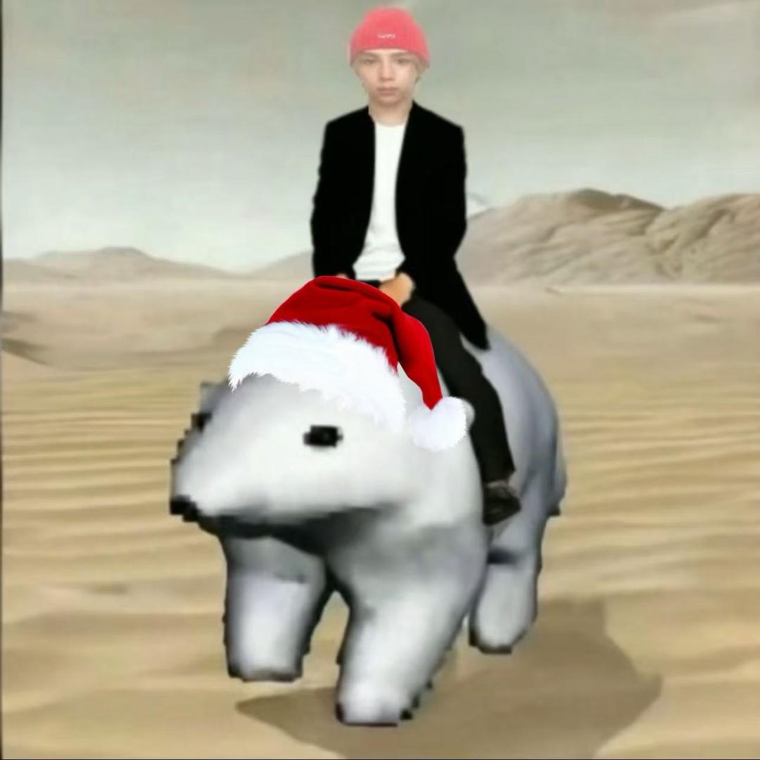 加拿大流浪女🇨🇦