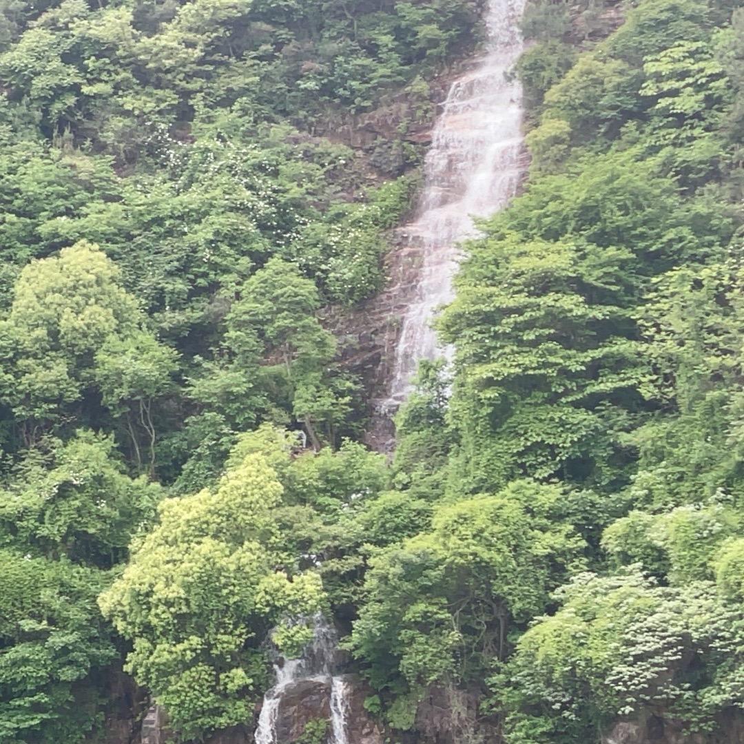 44779645777