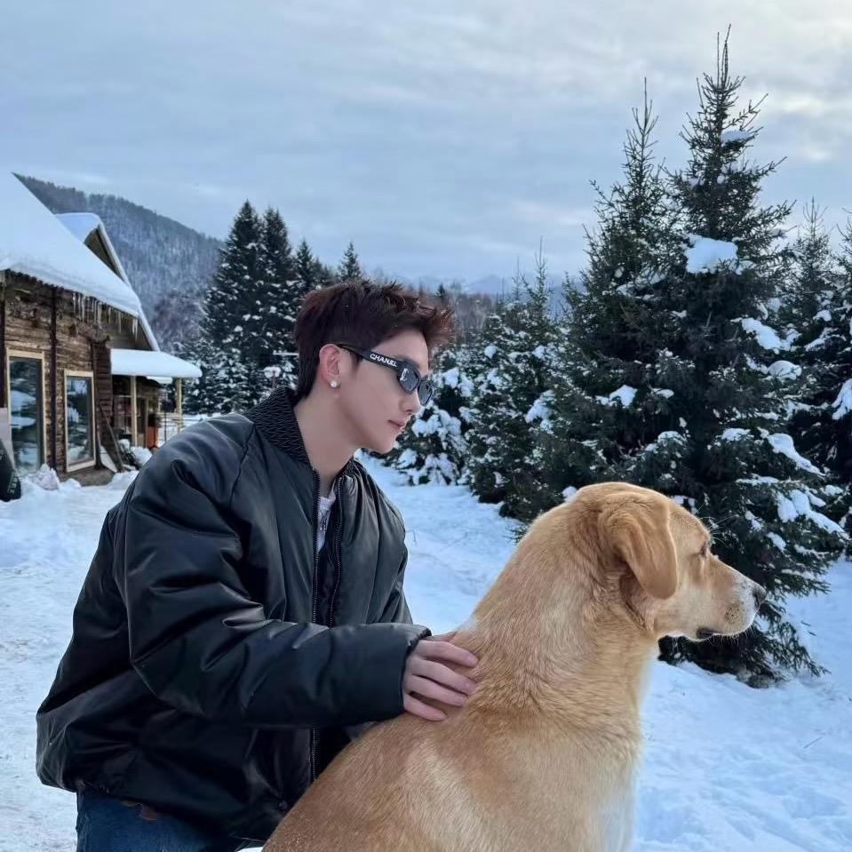 去码头整点薯条