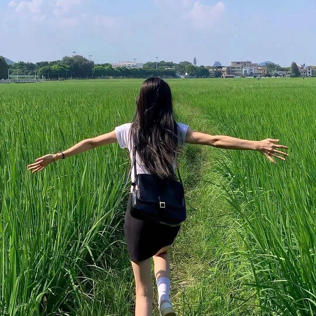 淼淼 -