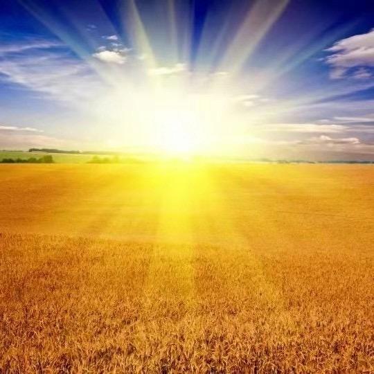 怒投社-私域流量