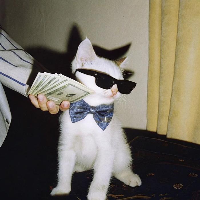 ♚清茶℡