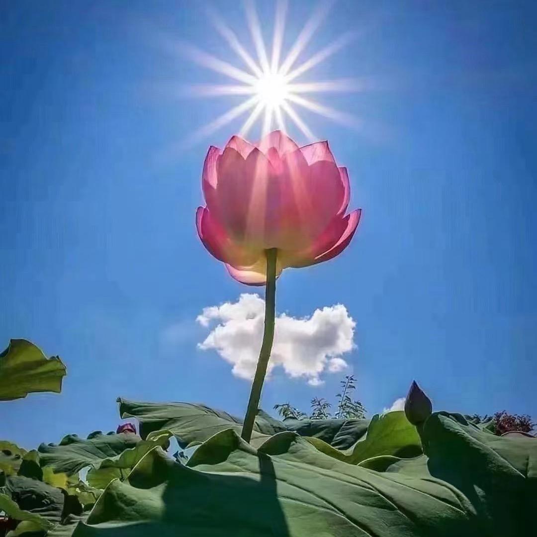 🌱绝经少女🆔带娃日常🪵🌲🌴