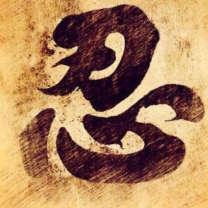 龙11