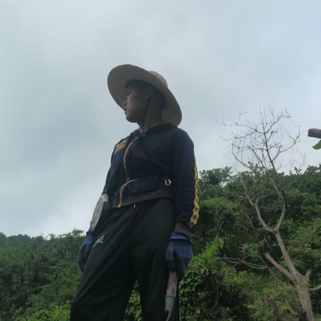 周小伟【全能百草】