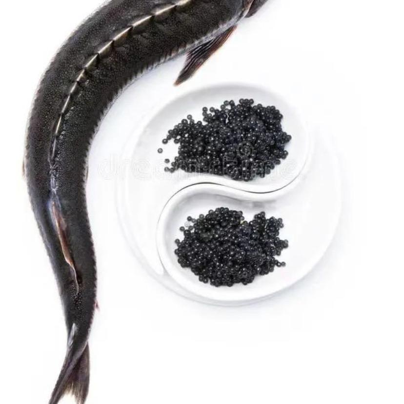 好再来鱼苗养殖