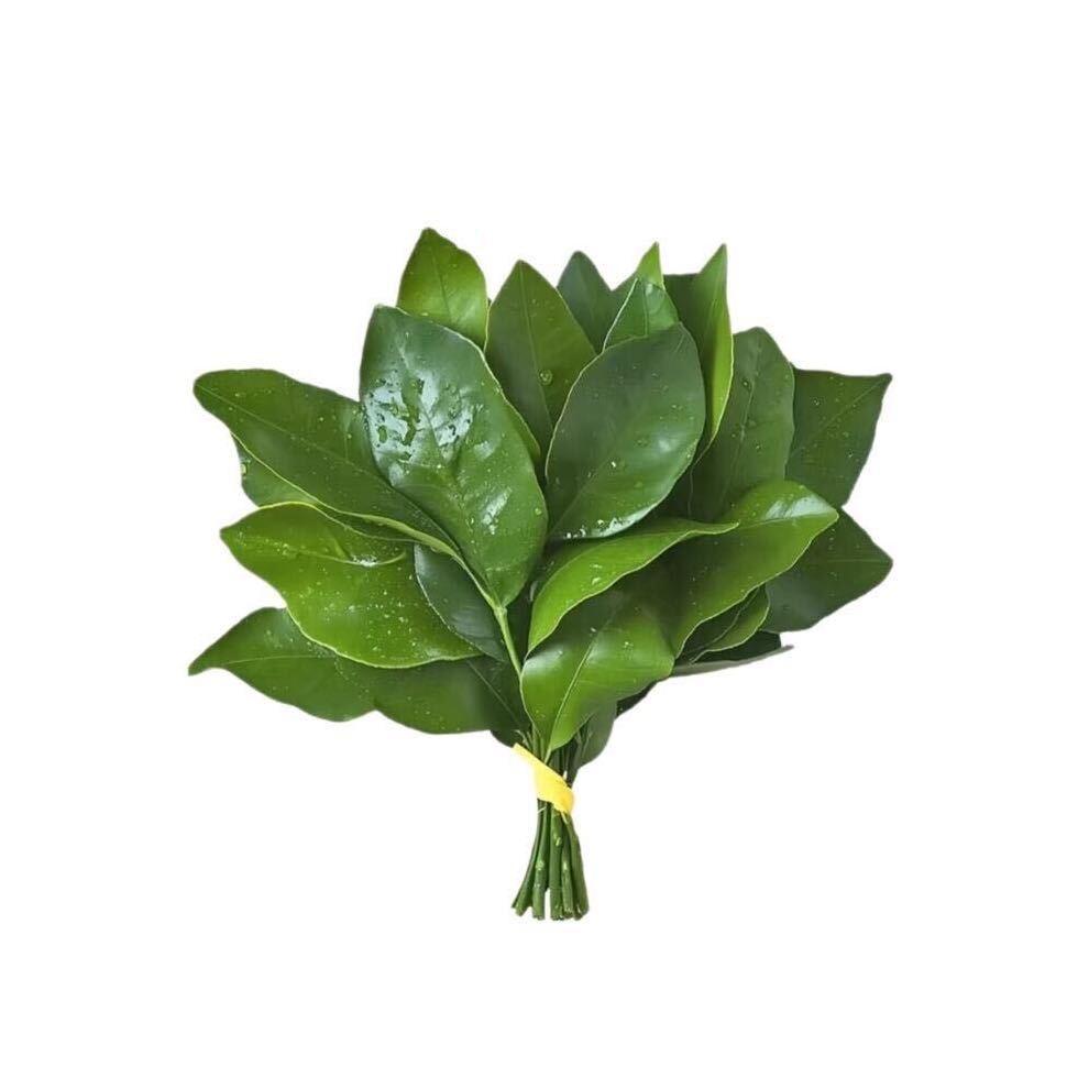 发大癫