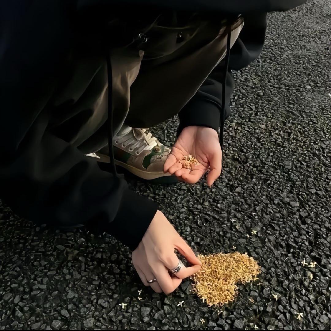小情