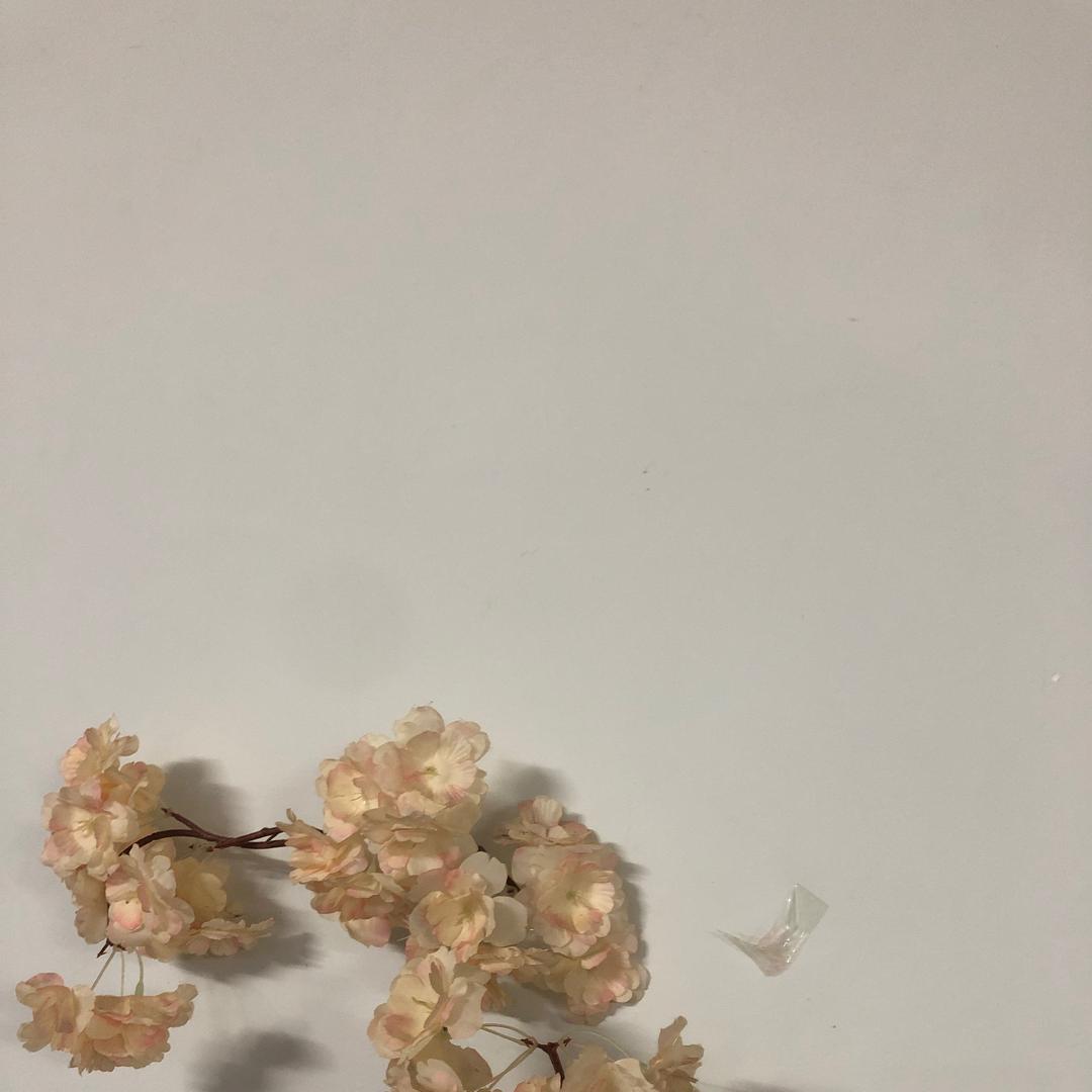 王家卫的电影