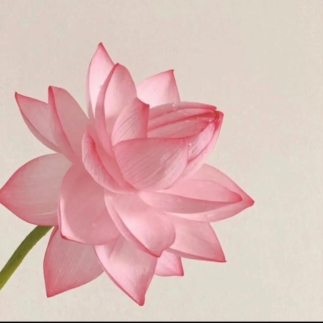 G三宝