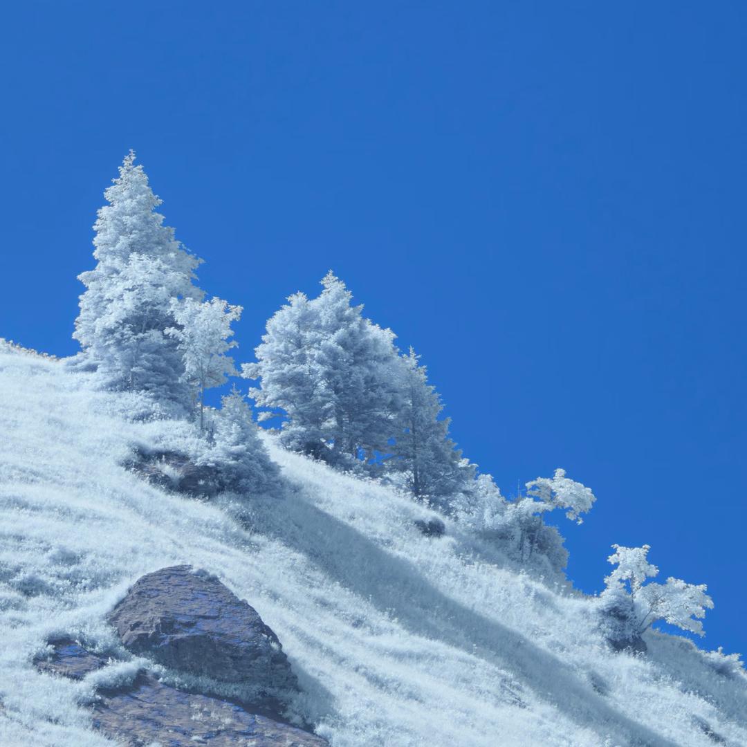 总是在后悔熬夜的🍋‍🟩