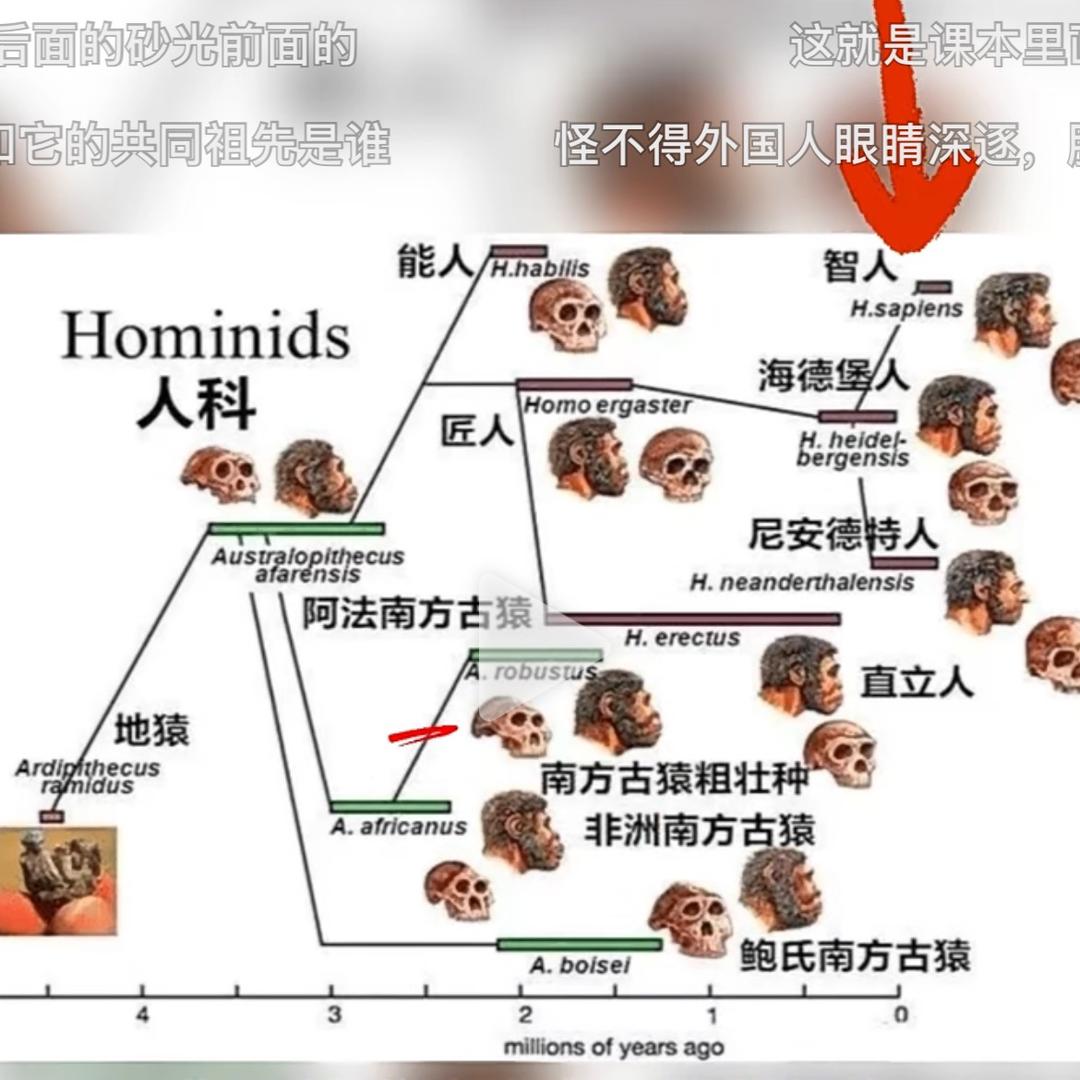 热爱生活