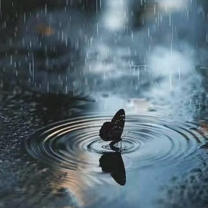 曦