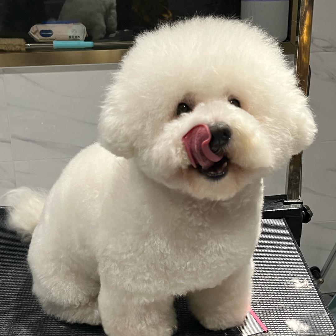 甜圈之家.寻找有缘人