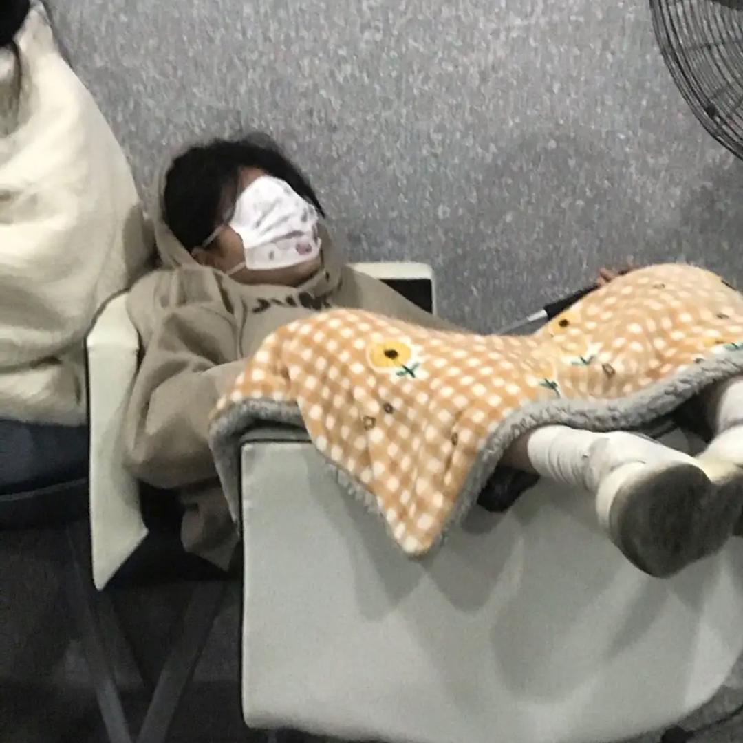 紫菜