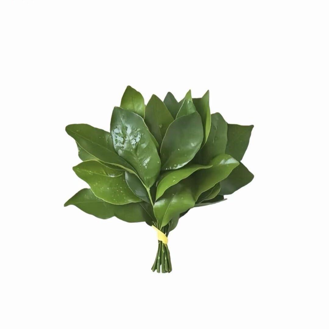 一事无成
