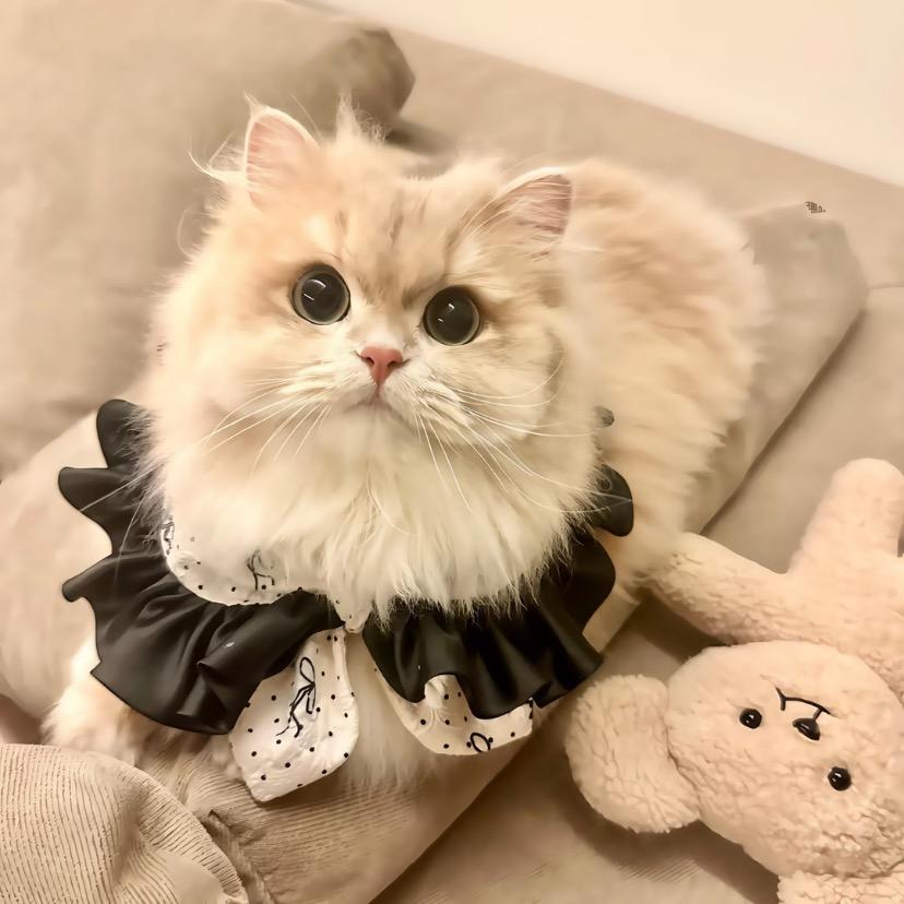 一只小锦李^