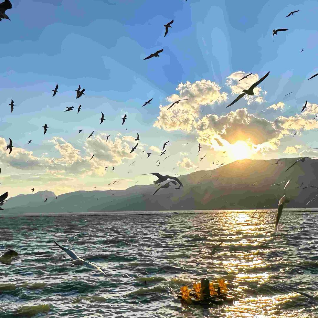 奥凯汽车主播小段