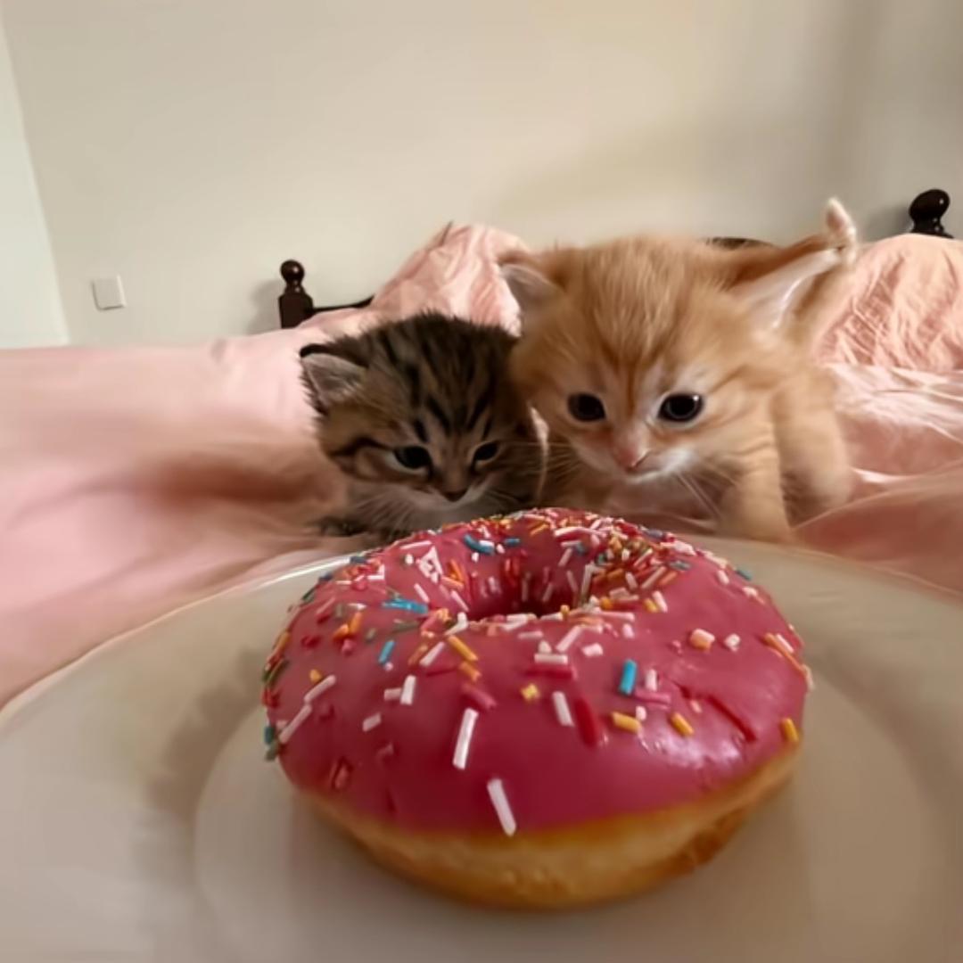 什么意思你现在